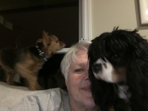 dogs and me 1