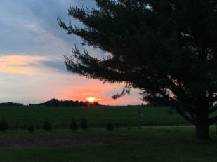 Zach farm1 sunset